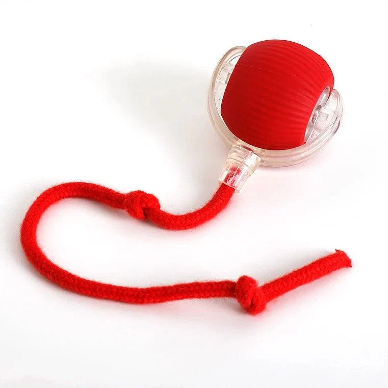 active-rolling-ball-with-tail-for-dogs-41190892_8.jpg